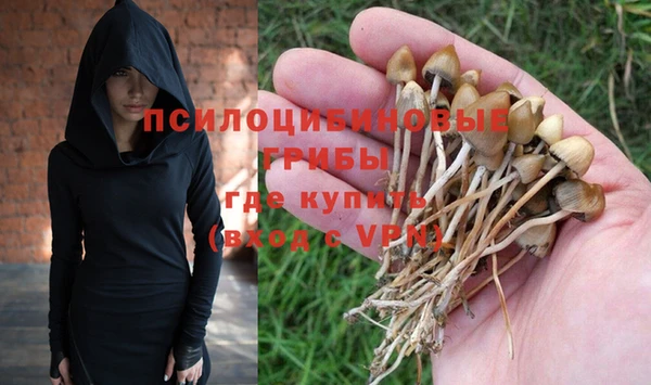 прущая мука Инсар