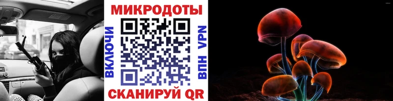 Галлюциногенные грибы Psilocybine cubensis  закладки  Саяногорск 