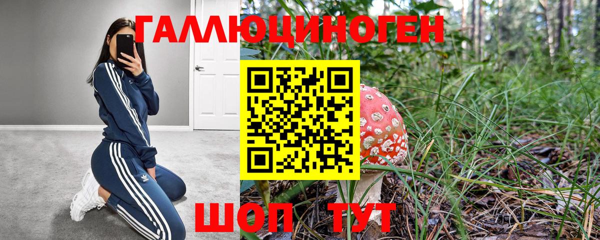 Псилоцибиновые грибы Psilocybine cubensis  Вход с VPN  Саяногорск 